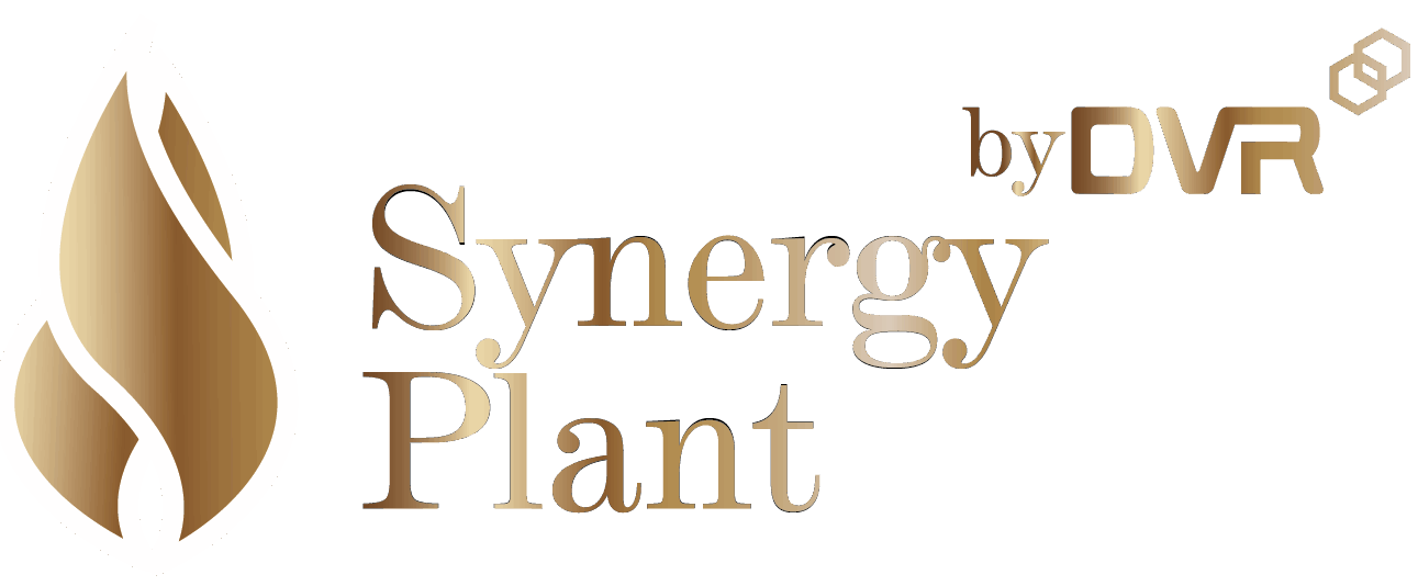 Synergy Plant